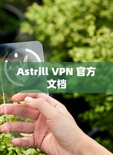 Astrill VPN 官方文档