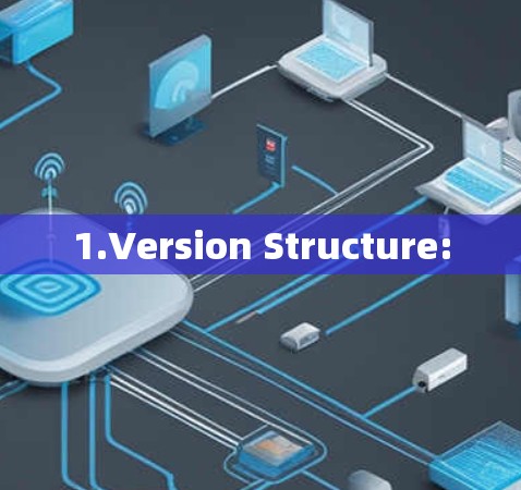 1.Version Structure: