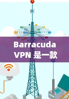 Barracuda VPN 是一款基于 OpenVPN 核心协议的网络防护工具，旨在提供安全、高效、易用的VPN服务。以下是对其网络防护的详细分析