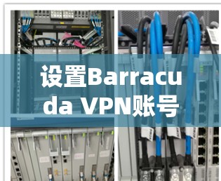 设置Barracuda VPN账号的流程如下