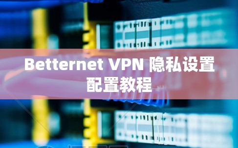 Betternet VPN 隐私设置配置教程
