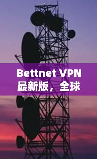 Bettnet VPN最新版，全球领先的VPN服务，安全、高效、便捷，为你的网络保驾护航！