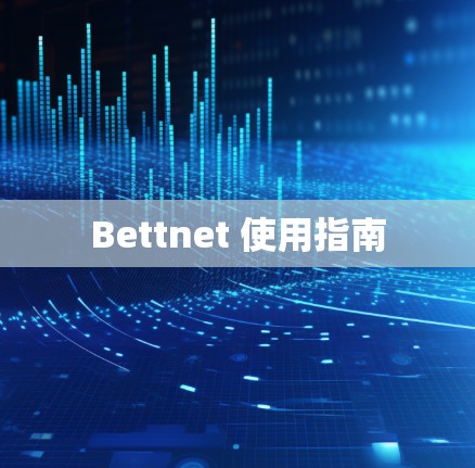 Bettnet 使用指南