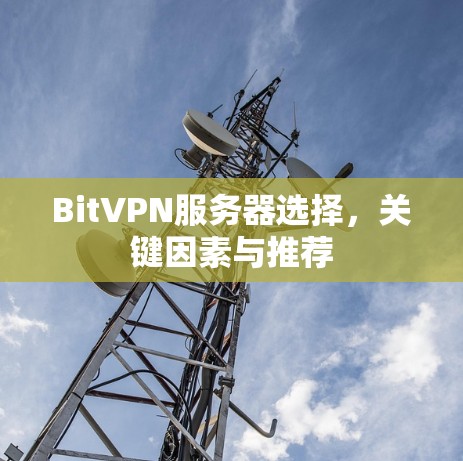 BitVPN服务器选择，关键因素与推荐