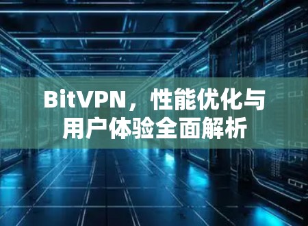 BitVPN，性能优化与用户体验全面解析