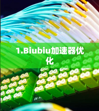 1.Biubiu加速器优化