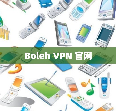 Boleh VPN 官网