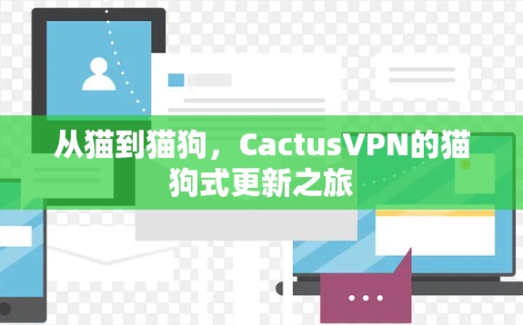 从猫到猫狗，CactusVPN的猫狗式更新之旅