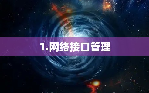 1.网络接口管理 1.网络接口管理