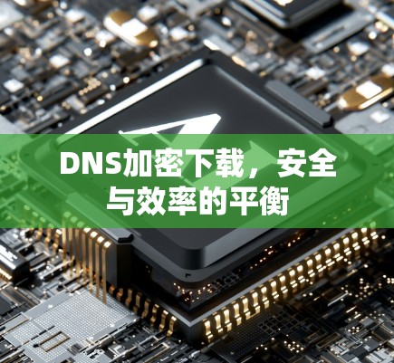 DNS加密下载，安全与效率的平衡
